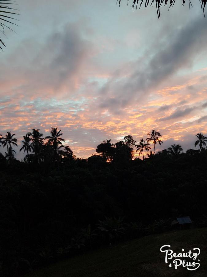 Babahan Farmstay Tabanan  Bagian luar foto