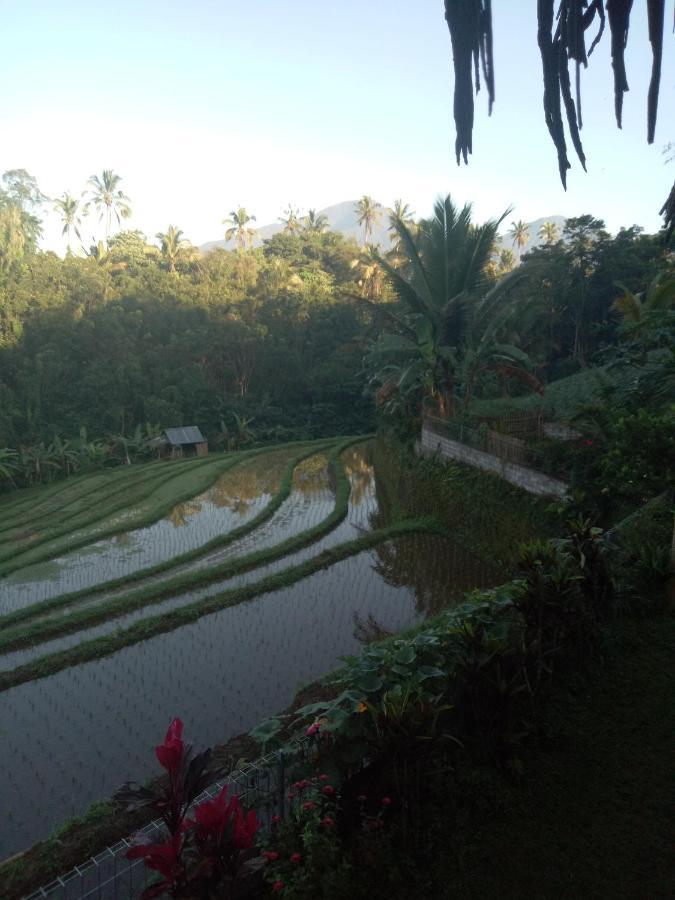 Babahan Farmstay Tabanan  Bagian luar foto