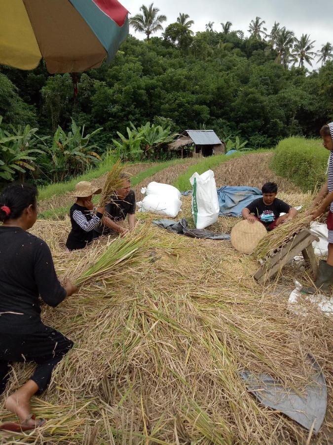 Babahan Farmstay Tabanan  Bagian luar foto