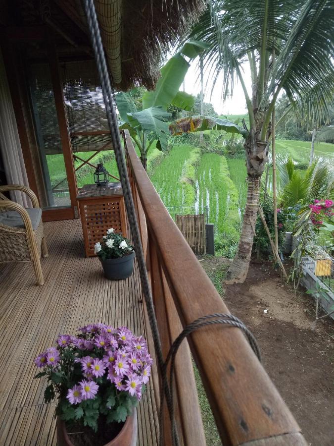 Babahan Farmstay Tabanan  Bagian luar foto