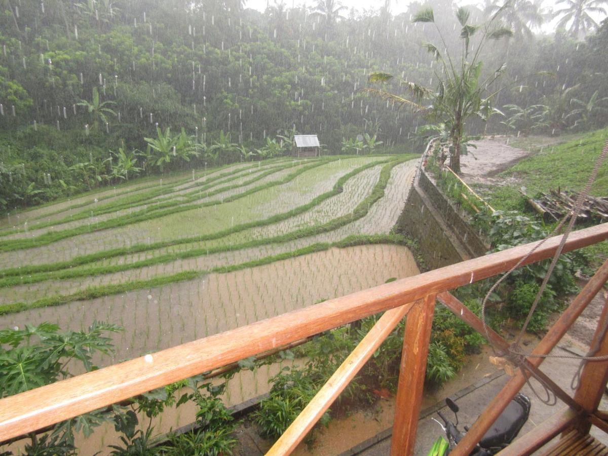 Babahan Farmstay Tabanan  Bagian luar foto