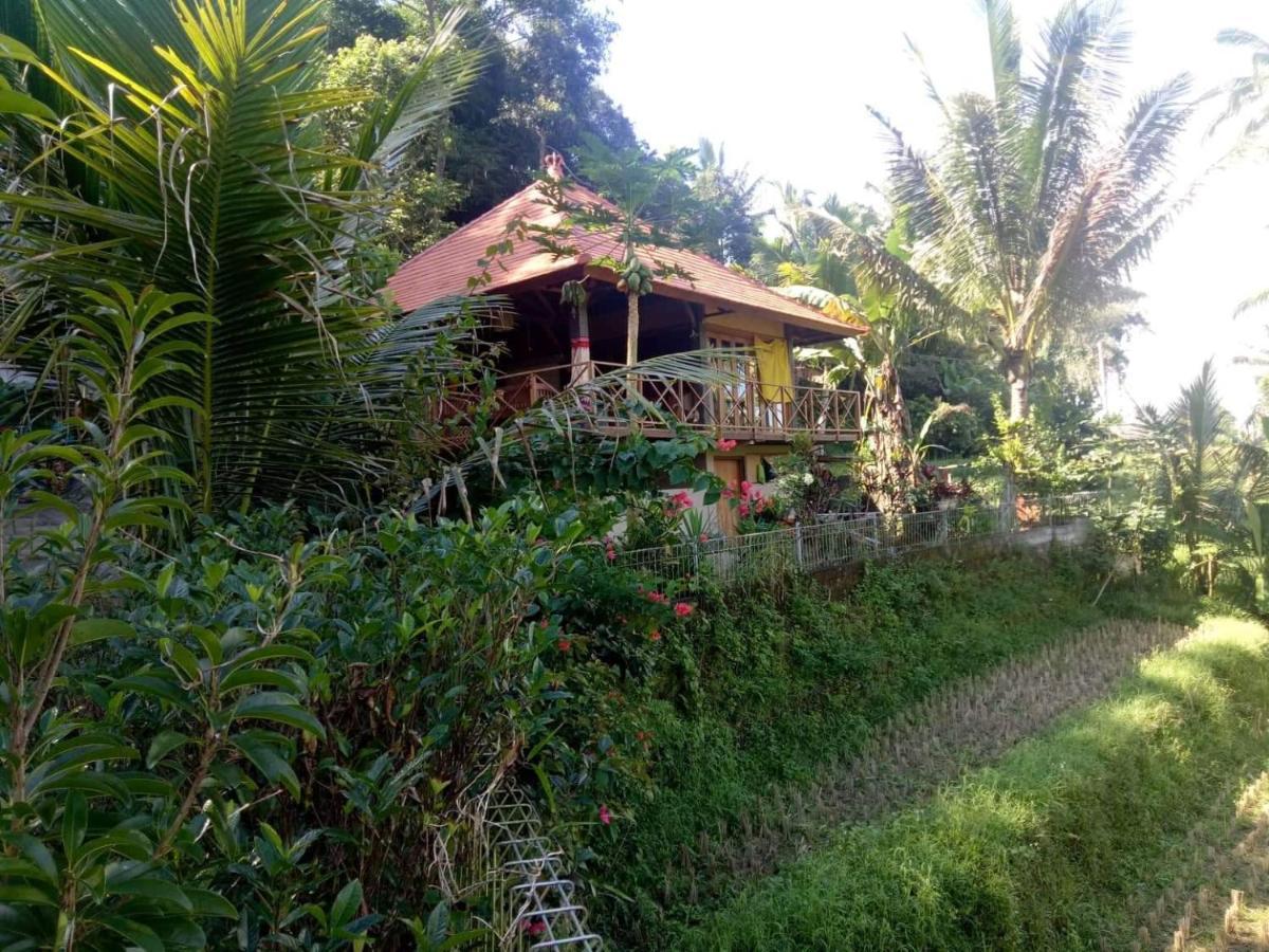 Babahan Farmstay Tabanan  Bagian luar foto