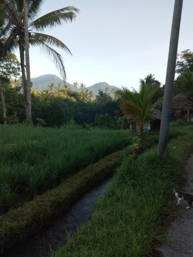 Babahan Farmstay Tabanan  Bagian luar foto