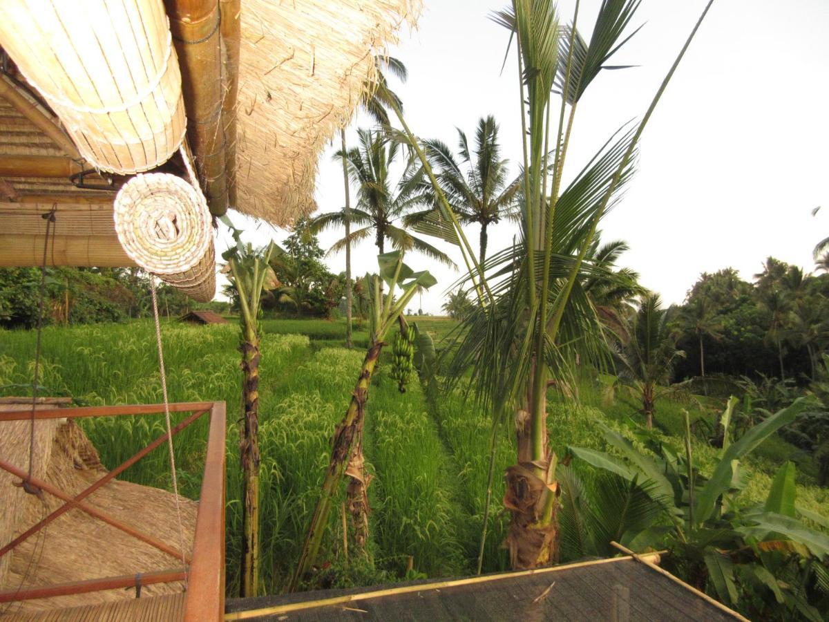 Babahan Farmstay Tabanan  Bagian luar foto