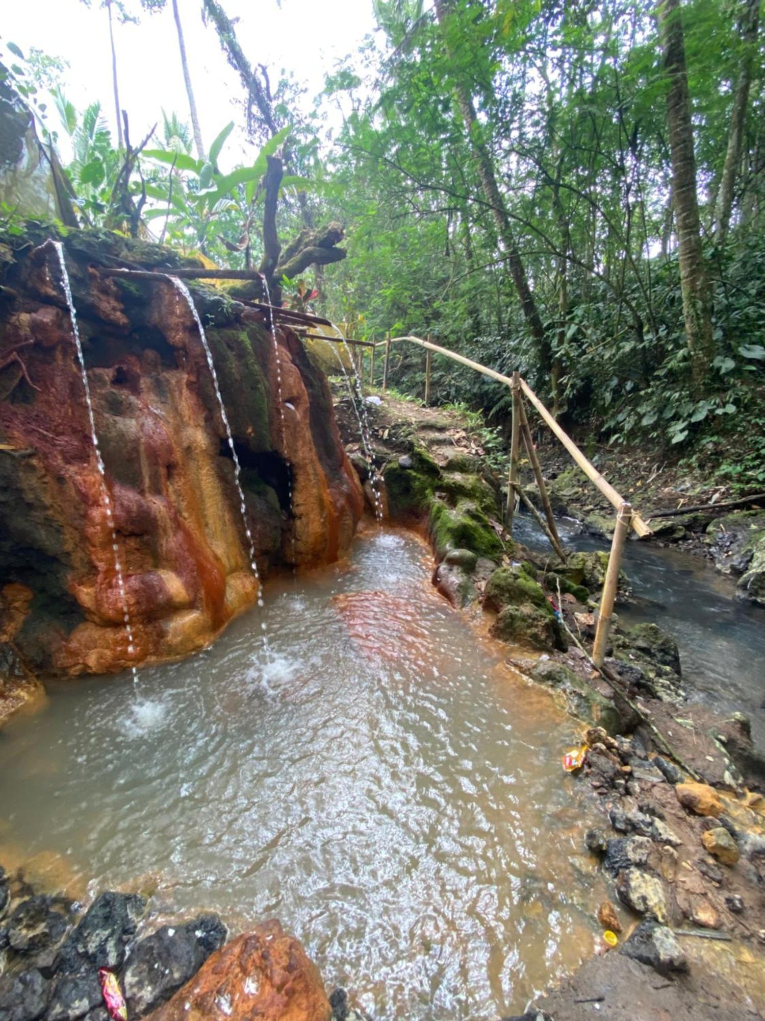 Babahan Farmstay Tabanan  Bagian luar foto